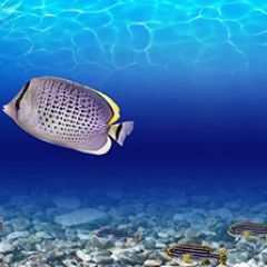 Кухонный фартук Фауна 026 МДФ матовый (3000) Fauna в Ханты-Мансийске - hanty-mansiysk.mebel24.online | фото