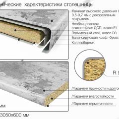 Кухонный фартук со столешницей (А-01) в едином стиле (3050 мм) в Ханты-Мансийске - hanty-mansiysk.mebel24.online | фото 6