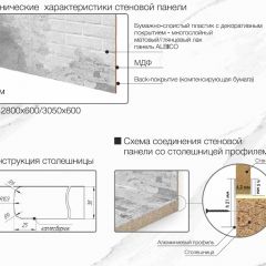 Кухонный фартук со столешницей (А-01) в едином стиле (3050 мм) в Ханты-Мансийске - hanty-mansiysk.mebel24.online | фото 7