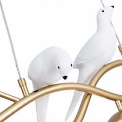 Подвесной светильник Arte Lamp Eltanin A3422SP-4GO в Ханты-Мансийске - hanty-mansiysk.mebel24.online | фото 4