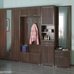 Прихожая Карина композиция 6 (Акация Молдау) в Ханты-Мансийске - hanty-mansiysk.mebel24.online | фото
