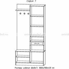 Прихожая София 1 в Ханты-Мансийске - hanty-mansiysk.mebel24.online | фото 3