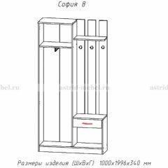 Прихожая София 8 в Ханты-Мансийске - hanty-mansiysk.mebel24.online | фото 2