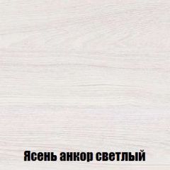 Шкаф 2-х створчатый МСП-1 (Ясень Анкор светлый) в Ханты-Мансийске - hanty-mansiysk.mebel24.online | фото 4