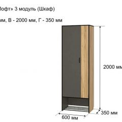 ОЛЬГА-ЛОФТ 3 Шкаф 2-х створчатый в Ханты-Мансийске - hanty-mansiysk.mebel24.online | фото 4