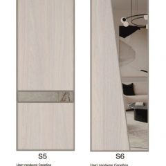 Шкаф-купе 1300 серии SILVER S4+S3Z+B2+PL1 (2 ящика+1 штанга) профиль «Серебро» в Ханты-Мансийске - hanty-mansiysk.mebel24.online | фото 11