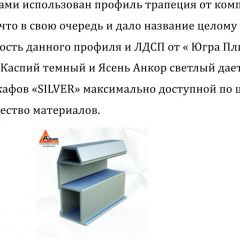 Шкаф-купе 1500 серии SILVER S1+S1+B2+PL2 (2 ящика+1 штанга+1 полка) профиль «Серебро» в Ханты-Мансийске - hanty-mansiysk.mebel24.online | фото 4