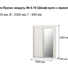 Шкаф-купе 1600 с зеркалом "Мария-Луиза 6.16" в Ханты-Мансийске - hanty-mansiysk.mebel24.online | фото 4