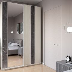 Шкаф-купе 1700 серии SILVER S3+S4+B2+PL4 (2 ящика+F обр.штанга) профиль «Серебро» в Ханты-Мансийске - hanty-mansiysk.mebel24.online | фото