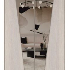 Шкаф-купе 1700 серии SILVER S3+S4+B2+PL4 (2 ящика+F обр.штанга) профиль «Серебро» в Ханты-Мансийске - hanty-mansiysk.mebel24.online | фото 12