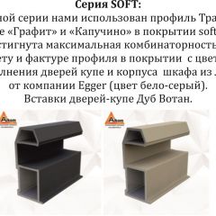 Шкаф-купе 2400 серии SOFT D5+D4+D5+B22+PL3 (по 2 ящика лев/прав+2штанги) профиль «Графит» в Ханты-Мансийске - hanty-mansiysk.mebel24.online | фото 12