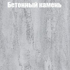 Шкаф-купе Бассо 1.0 (Дуб Крафт серый/Бетонный камень) 2 двери ЛДСП 2 зеркальные вставки в Ханты-Мансийске - hanty-mansiysk.mebel24.online | фото 3