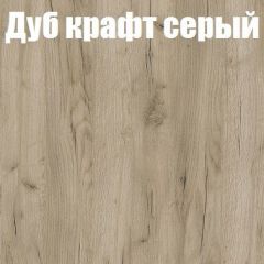 Шкаф-купе Бассо 1.0 (Дуб Крафт серый/Бетонный камень) 2 двери ЛДСП 2 зеркальные вставки в Ханты-Мансийске - hanty-mansiysk.mebel24.online | фото 4