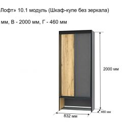 ОЛЬГА-ЛОФТ 10.1 Шкаф-купе без зеркала в Ханты-Мансийске - hanty-mansiysk.mebel24.online | фото 3