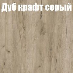 Шкаф-купе Эдем 1.5 (Дуб Крафт серый/Бетонный камень) двери ЛДСП вставка зеркало в Ханты-Мансийске - hanty-mansiysk.mebel24.online | фото 4