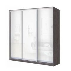 Шкаф-купе ХИТ 23-18-888 (620) в Ханты-Мансийске - hanty-mansiysk.mebel24.online | фото 1