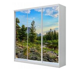 Шкаф-купе ХИТ 23-20/2-777 (620) в Ханты-Мансийске - hanty-mansiysk.mebel24.online | фото