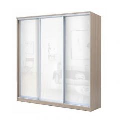 Шкаф-купе ХИТ 24-4-20-888 (420) в Ханты-Мансийске - hanty-mansiysk.mebel24.online | фото 7