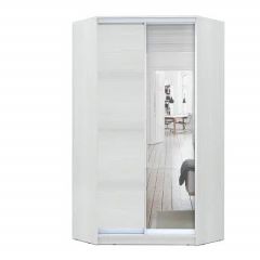 Шкаф-купе ХИТ-У-24-4-15 в Ханты-Мансийске - hanty-mansiysk.mebel24.online | фото