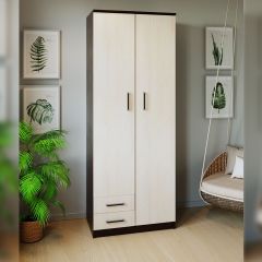 Шкаф распашной ПШ-3.9 в Ханты-Мансийске - hanty-mansiysk.mebel24.online | фото 3