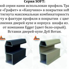 Шкаф-купе 1400 серии SOFT D1+D3+B2+PL1 (2 ящика+1штанга) профиль «Графит» в Ханты-Мансийске - hanty-mansiysk.mebel24.online | фото 5