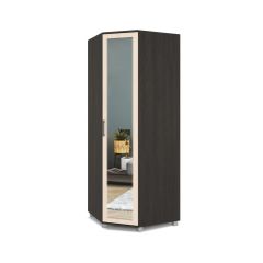 ЕВА Шкаф угловой Е58 в Ханты-Мансийске - hanty-mansiysk.mebel24.online | фото 3
