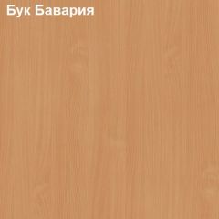 Стол письменный Логика Л-1.16 в Ханты-Мансийске - hanty-mansiysk.mebel24.online | фото
