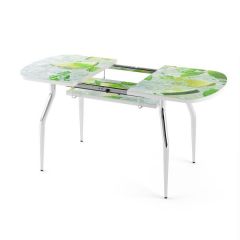 Стол раздвижной Бриз лайм R156 Цветы R044 в Ханты-Мансийске - hanty-mansiysk.mebel24.online | фото