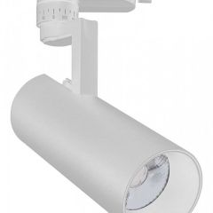 Светильник на штанге Escada 20029 20029TRA/01LED SWH в Ханты-Мансийске - hanty-mansiysk.mebel24.online | фото