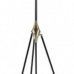 Светильник на штанге Lightstar Modena 816047 в Ханты-Мансийске - hanty-mansiysk.mebel24.online | фото