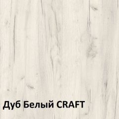 Юнона Шкаф торцевой 13.221 в Ханты-Мансийске - hanty-mansiysk.mebel24.online | фото 3