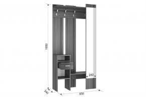 АГАТА Прихожая в Ханты-Мансийске - hanty-mansiysk.mebel24.online | фото 2