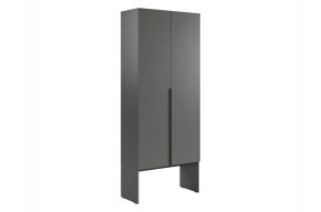 БАСКО Шкаф двухдверный L800 (графит) в Ханты-Мансийске - hanty-mansiysk.mebel24.online | фото