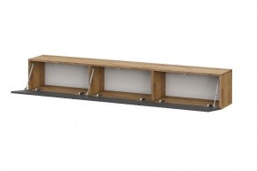 БАЙКАЛ Тумба (Графит/Дуб золотой) в Ханты-Мансийске - hanty-mansiysk.mebel24.online | фото 2