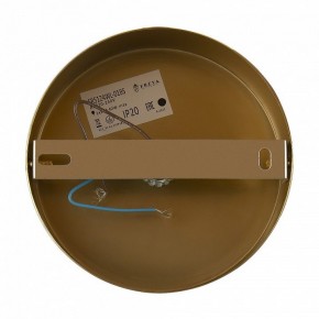 Бра Freya Zelda FR5124WL-01BS в Ханты-Мансийске - hanty-mansiysk.mebel24.online | фото 6
