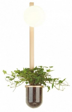 Бра Odeon Light Flower 4682/1WB в Ханты-Мансийске - hanty-mansiysk.mebel24.online | фото 3