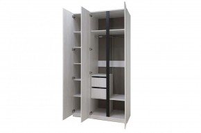 ДЕЛИ 3 Шкаф 3-х створчатый в Ханты-Мансийске - hanty-mansiysk.mebel24.online | фото 6