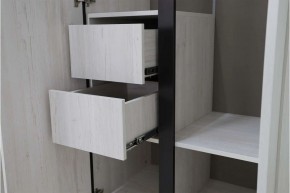 ДЕЛИ 3 Шкаф 3-х створчатый в Ханты-Мансийске - hanty-mansiysk.mebel24.online | фото 7