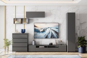 ДЕНВЕР Пенал (Графит серый) в Ханты-Мансийске - hanty-mansiysk.mebel24.online | фото 4