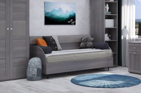 Диван-кровать 900 Парма Нео в Ханты-Мансийске - hanty-mansiysk.mebel24.online | фото 8