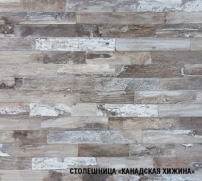 ДЮНА Кухонный гарнитур Экстра 3000 мм в Ханты-Мансийске - hanty-mansiysk.mebel24.online | фото 6