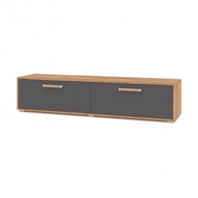ФЛОРИДА Ф31 Тумба ТВ (дуб золотой/графит) в Ханты-Мансийске - hanty-mansiysk.mebel24.online | фото