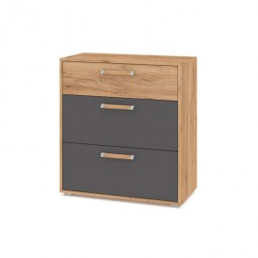 ФЛОРИДА Ф41 Комод (дуб золотой/графит) в Ханты-Мансийске - hanty-mansiysk.mebel24.online | фото