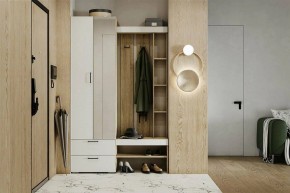 Гарнитур для прихожей Торонто в Ханты-Мансийске - hanty-mansiysk.mebel24.online | фото 5