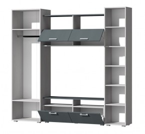Гостиная Эмми (Анкор светлый/Графит) в Ханты-Мансийске - hanty-mansiysk.mebel24.online | фото 3