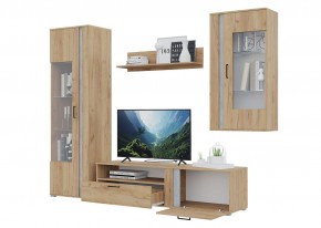 Гостиная Омега (Крафт золотой-Бетон) в Ханты-Мансийске - hanty-mansiysk.mebel24.online | фото 4