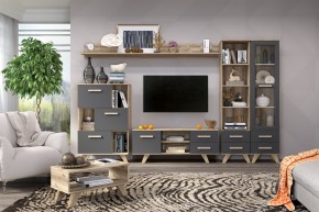 Гостиная Вега Скандинавия (комплект 6) в Ханты-Мансийске - hanty-mansiysk.mebel24.online | фото 2