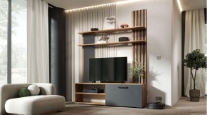КАРОЛИНА Гостиная в Ханты-Мансийске - hanty-mansiysk.mebel24.online | фото