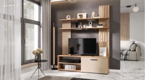 КАРОЛИНА Гостиная (дуб вотан/кашемир) в Ханты-Мансийске - hanty-mansiysk.mebel24.online | фото