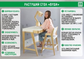 Комплект растущий стол и стул с чехлом 38 попугаев «Вуди» (Серый, Береза, Салют) в Ханты-Мансийске - hanty-mansiysk.mebel24.online | фото
